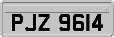 PJZ9614