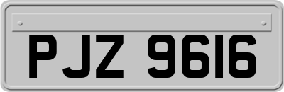PJZ9616