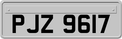 PJZ9617