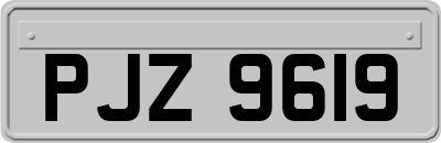 PJZ9619