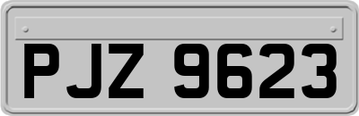PJZ9623