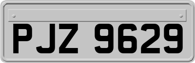 PJZ9629