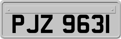 PJZ9631