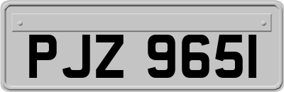 PJZ9651