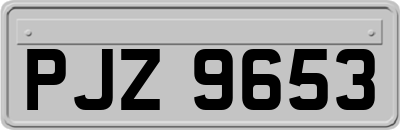 PJZ9653