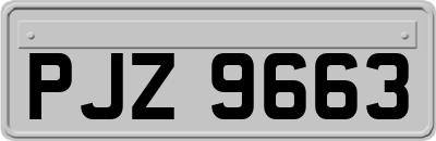 PJZ9663
