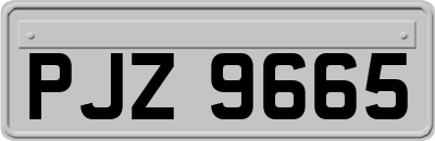 PJZ9665
