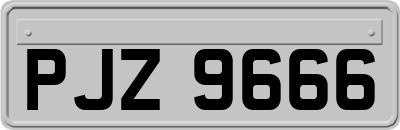 PJZ9666