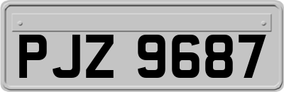 PJZ9687