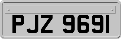PJZ9691