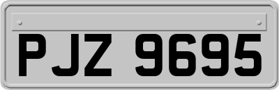PJZ9695