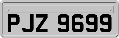 PJZ9699