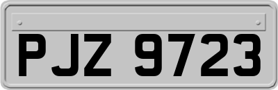 PJZ9723