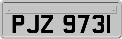 PJZ9731