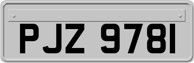 PJZ9781