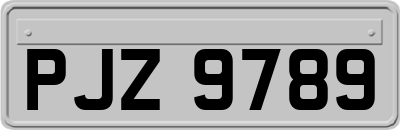 PJZ9789