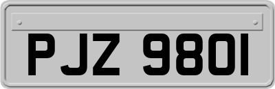 PJZ9801