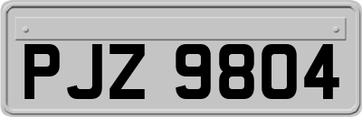 PJZ9804