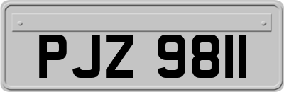 PJZ9811