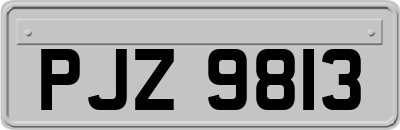 PJZ9813