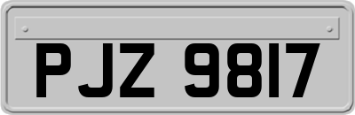 PJZ9817
