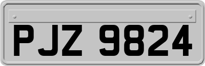 PJZ9824