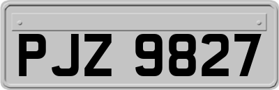 PJZ9827