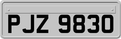 PJZ9830