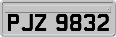PJZ9832