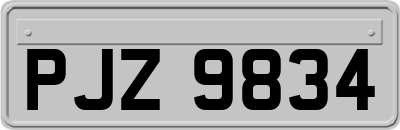 PJZ9834