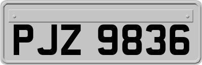 PJZ9836