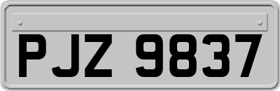 PJZ9837