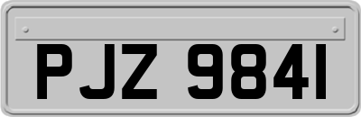 PJZ9841
