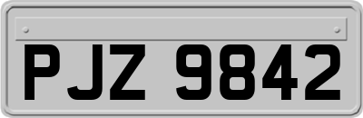 PJZ9842