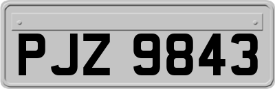 PJZ9843