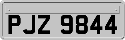 PJZ9844