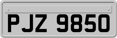 PJZ9850