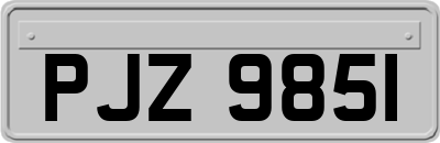 PJZ9851