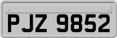 PJZ9852