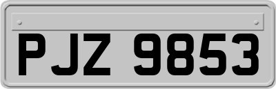 PJZ9853