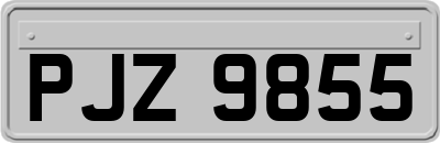 PJZ9855