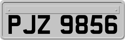 PJZ9856