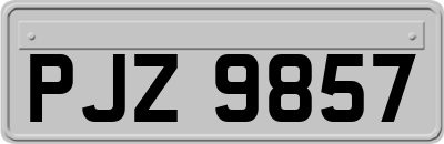 PJZ9857