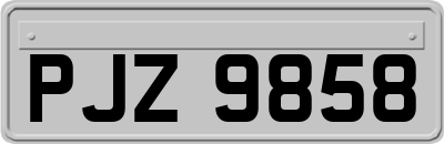 PJZ9858