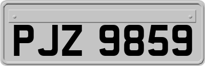 PJZ9859