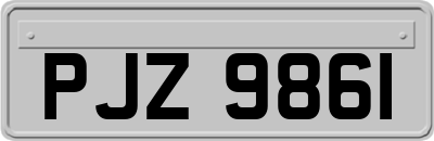 PJZ9861