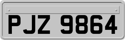 PJZ9864