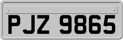 PJZ9865