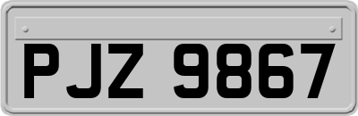 PJZ9867