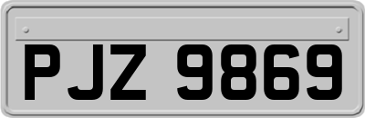PJZ9869